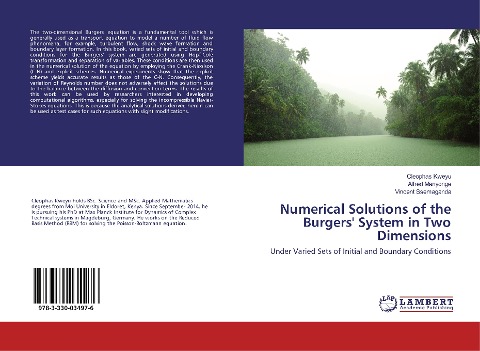 Numerical Solutions of the Burgers System in Two Dimensions: Under Varied Sets of Initial and Boundary Conditions