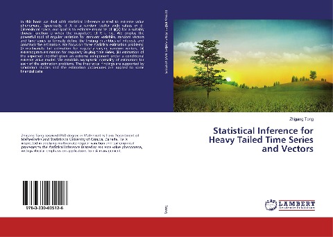 Statistical Inference for Heavy Tailed Time Series and Vectors