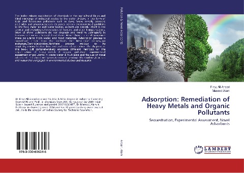Adsorption: Remediation of Heavy Metals and Organic Pollutants: Sequestration, Experimental Assessment, Novel Adsorbents