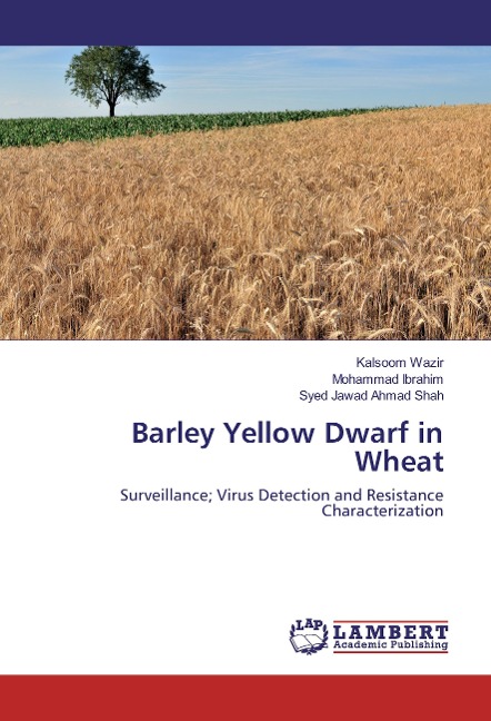 Barley Yellow Dwarf in Wheat: Surveillance; Virus Detection and Resistance Characterization