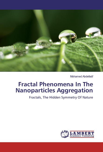 Fractal Phenomena In The Nanoparticles Aggregation: Fractals, The Hidden Symmetry Of Nature