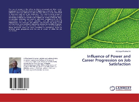 Influence of Power and Career Progression on Job Satisfaction