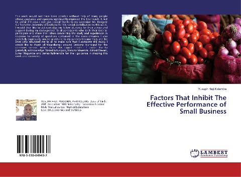 Factors That Inhibit The Effective Performance of Small Business