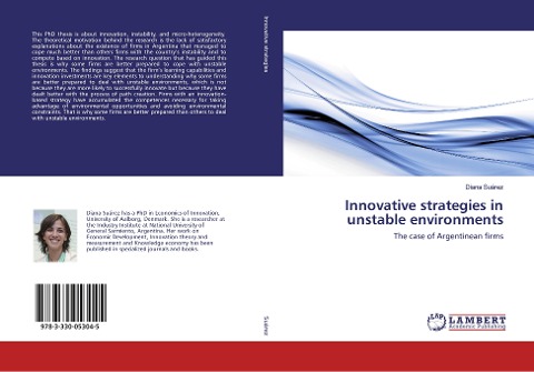 Innovative strategies in unstable environments: The case of Argentinean firms