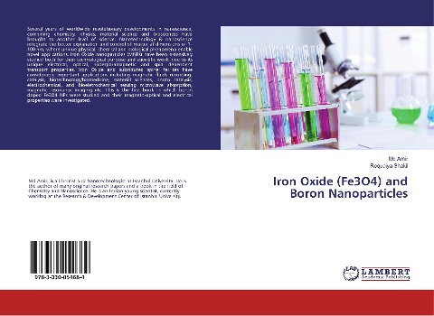 Iron Oxide (Fe3O4) and Boron Nanoparticles