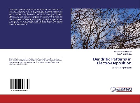 Dendritic Patterns in Electro-Deposition: A Fractal Approach