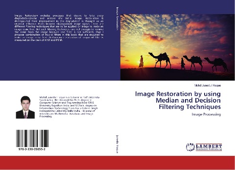 Image Restoration by using Median and Decision Filtering Techniques: Image Processing