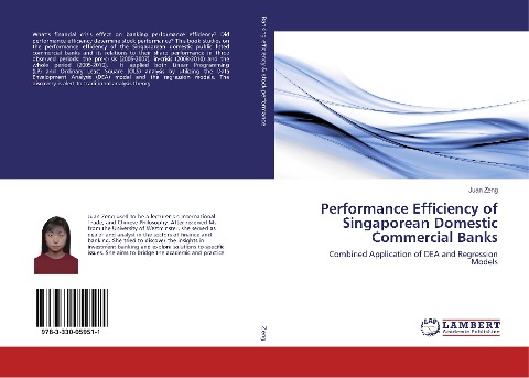 Performance Efficiency of Singaporean Domestic Commercial Banks: Combined Application of DEA and Regression Models