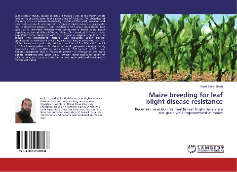 Maize breeding for leaf blight disease resistance: Recurrent selection for maydis leaf blight resistance and grain yield improvement in maize