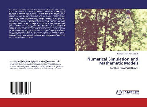 Numerical Simulation and Mathematic Models: For Fluid Flow Past Objects