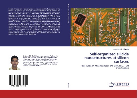 Self-organized silicide nanostructures at silicon surfaces: Fabrication of nanostructures and STM, SEM, TEM investigation
