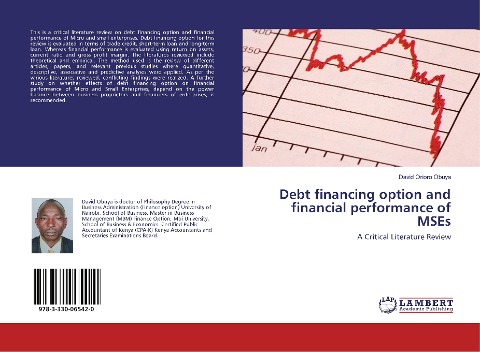 Debt financing option and financial performance of MSEs: A Critical Literature Review