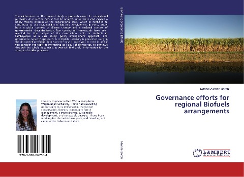 Governance efforts for regional Biofuels arrangements