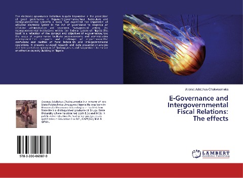 E-Governance and Intergovernmental Fiscal Relations: The effects