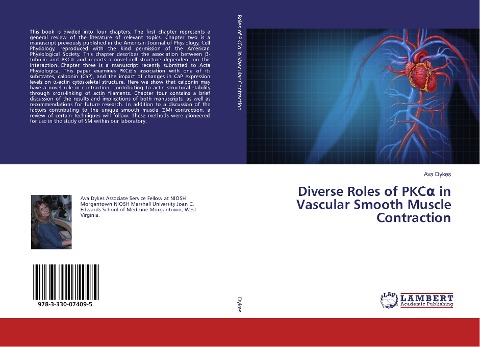 Diverse Roles of PKC¿ in Vascular Smooth Muscle Contraction