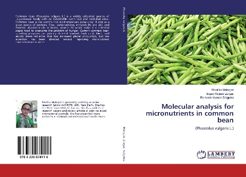 Molecular analysis for micronutrients in common bean: (Phaseolus vulgaris L.)