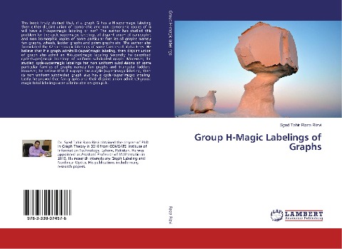Group H-Magic Labelings of Graphs