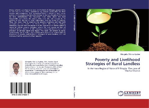 Poverty and Livelihood Strategies of Rural Landless: In Amhara Regional State of Ethiopia: The case of Mecha District