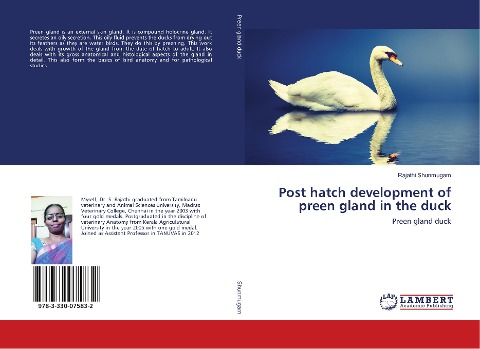 Post hatch development of preen gland in the duck: Preen gland duck