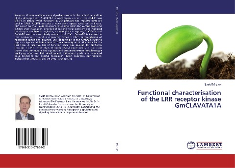 Functional characterisation of the LRR receptor kinase GmCLAVATA1A