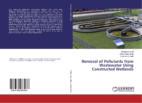 Removal of Pollutants from Wastewater Using Constructed Wetlands