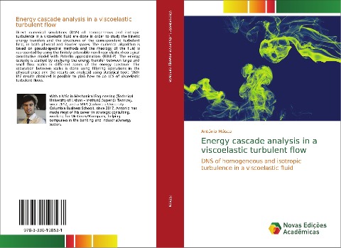 Energy cascade analysis in a viscoelastic turbulent flow: DNS of homogeneous and isotropic turbulence in a viscoelastic fluid