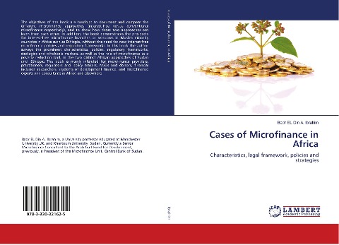 Cases of Microfinance in Africa: Characteristics, legal framework, policies and strategies