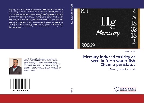 Mercury induced toxicity as seen in fresh water fish Channa punctatus: Mercury impact on a fish