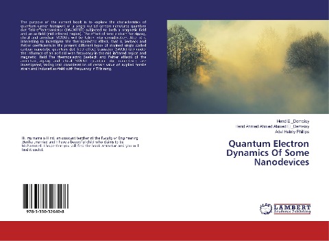 Quantum Electron Dynamics Of Some Nanodevices