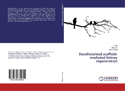 Decellularized scaffold-mediated kidney regeneration