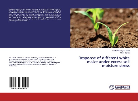 Response of different white maize under excess soil moisture stress
