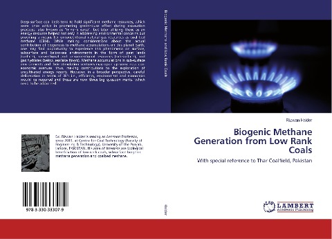 Biogenic Methane Generation from Low Rank Coals: With special reference to Thar Coalfield, Pakistan