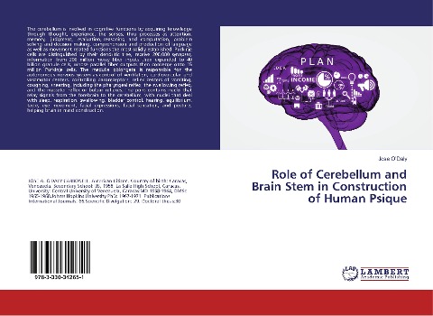 Role of Cerebellum and Brain Stem in Construction of Human Psique