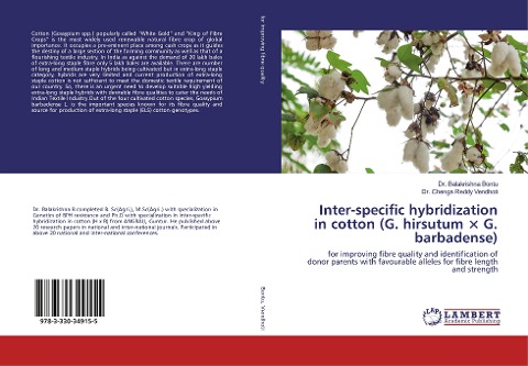 Inter-specific hybridization in cotton (G. hirsutum × G. barbadense): for improving fibre quality and identification of donor parents with favourable alleles for fibre length and strength