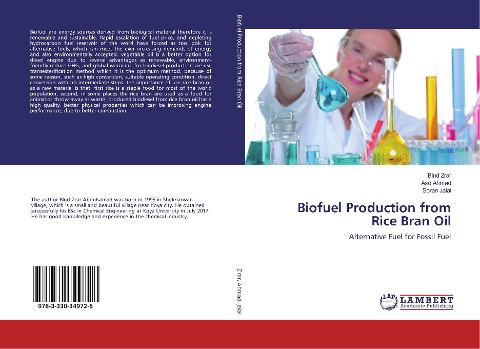 Biofuel Production from Rice Bran Oil: Alternative Fuel for Fossil Fuel