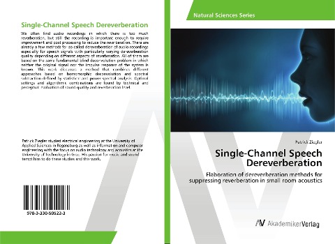 Single-Channel Speech Dereverberation: Elaboration of dereverberation methods for suppressing reverberation in small room acoustics