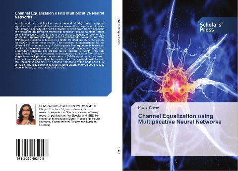 Channel Equalization using Multiplicative Neural Networks