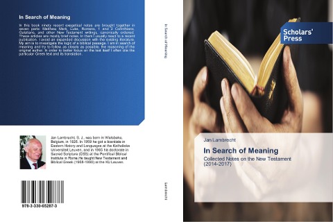 In Search of Meaning: Collected Notes on the New Testament (2014-2017)