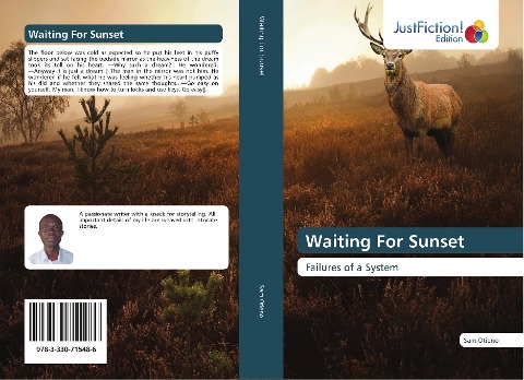 Waiting For Sunset: Failures of a System