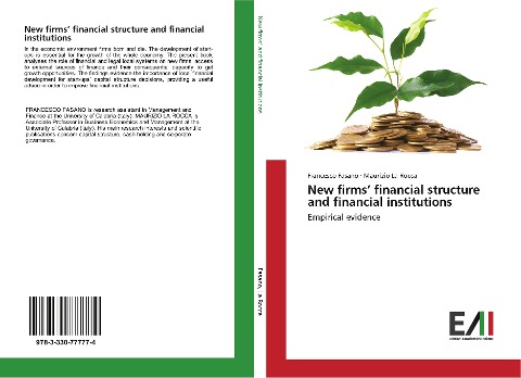 New firms financial structure and financial institutions: Empirical evidence