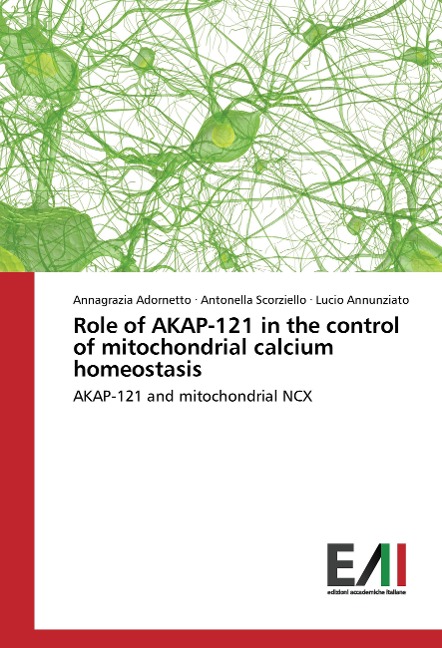 Role of AKAP-121 in the control of mitochondrial calcium homeostasis: AKAP-121 and mitochondrial NCX