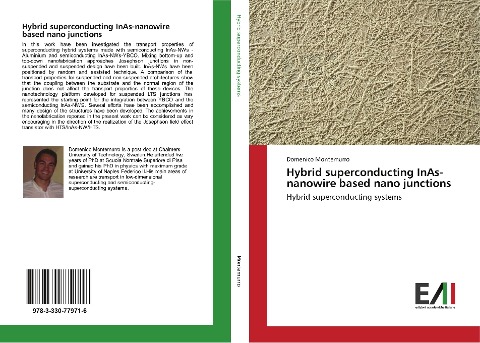 Hybrid superconducting InAs-nanowire based nano junctions: Hybrid superconducting systems