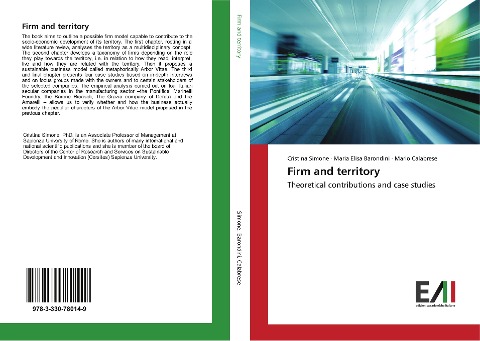 Firm and territory: Theoretical contributions and case studies