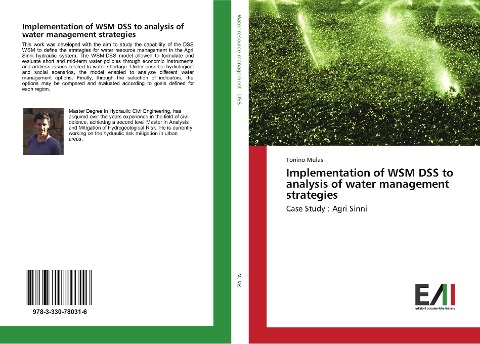 Implementation of WSM DSS to analysis of water management strategies: Case Study : Agri Sinni