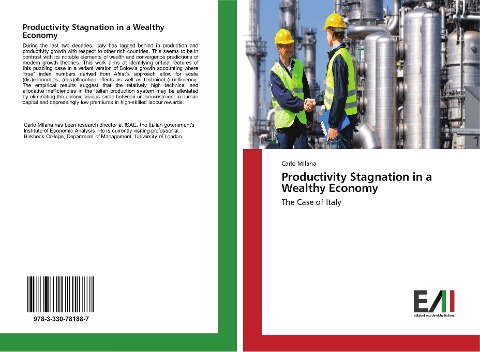 Productivity Stagnation in a Wealthy Economy: The Case of Italy