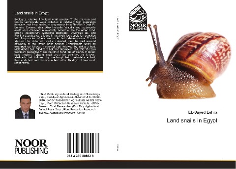 Land snails in Egypt