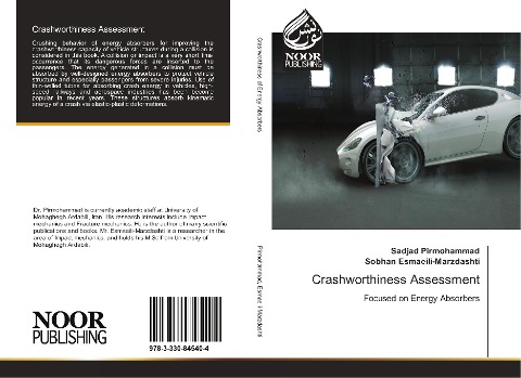 Crashworthiness Assessment: Focused on Energy Absorbers