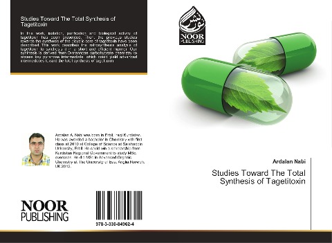 Studies Toward The Total Synthesis of Tagetitoxin