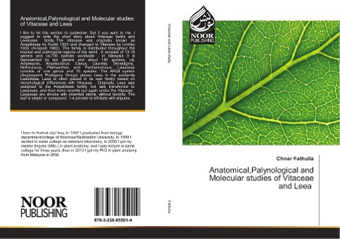 Anatomical,Palynological and Molecular studies of Vitaceae and Leea