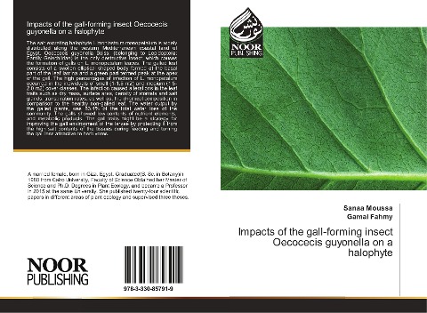 Impacts of the gall-forming insect Oecocecis guyonella on a halophyte
